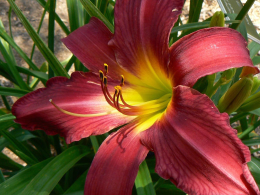 428791 (a): :1600x1200